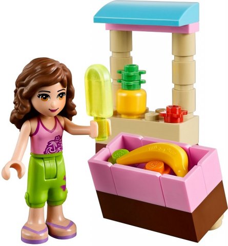 Zestaw klocków LEGO 41010
